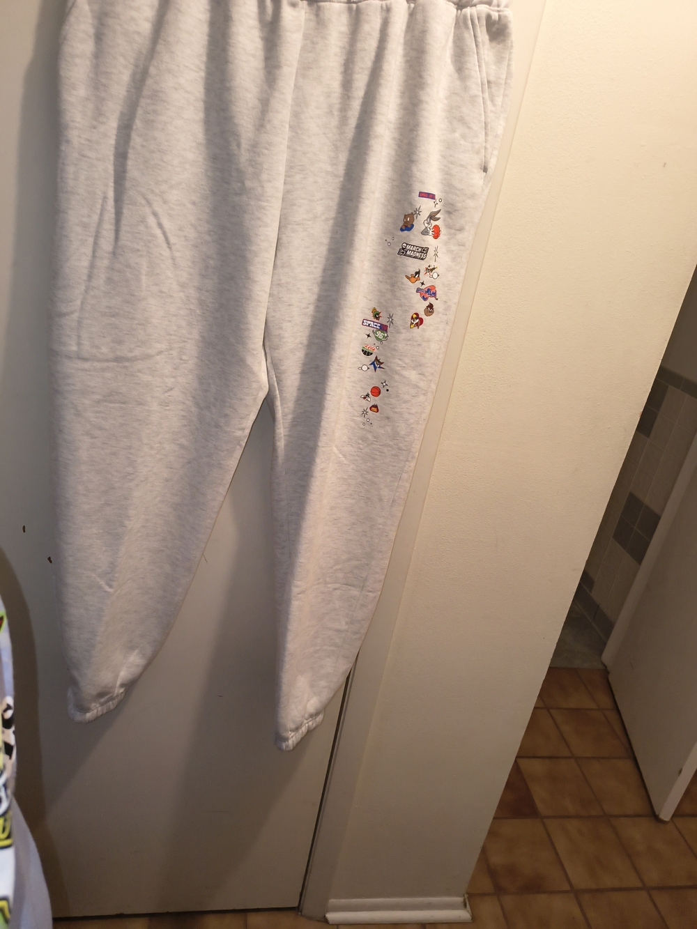 Kids Light Gray Champion Sweatpants with 30th Anniversary Space Jam